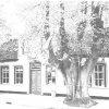 CAFE STEVEN AKKER 1975